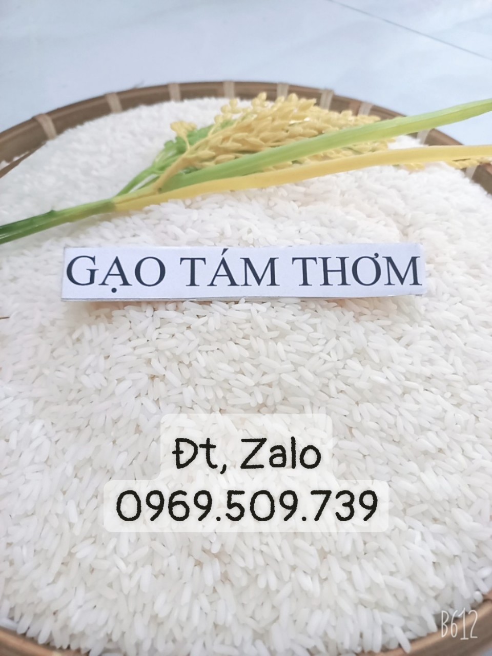 Gạo ST 25Tấm Thơm - Gạo Gia Phú - Công Ty TNHH Nông Sản Gia Phú